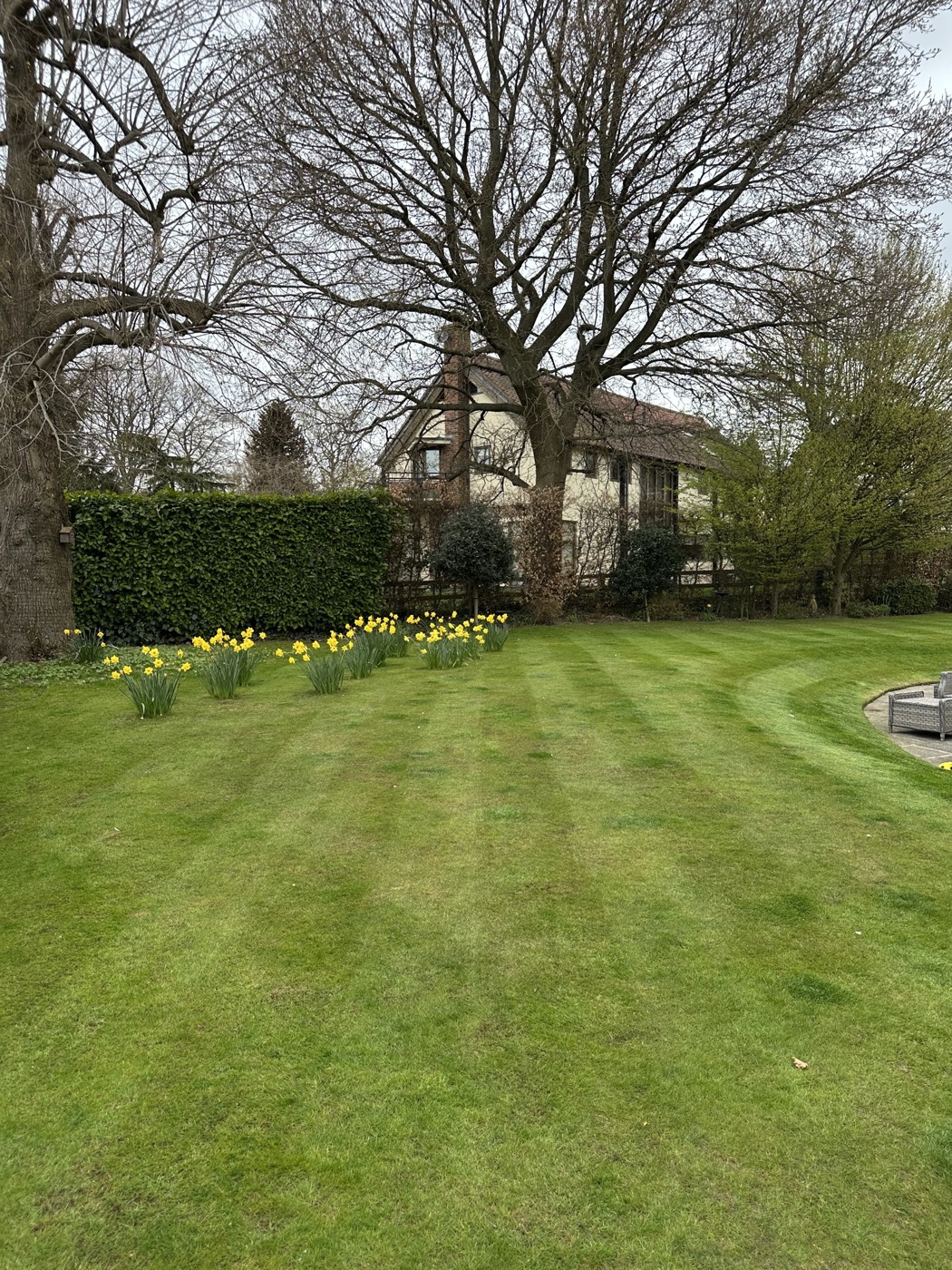 A large area of grass mown and striped around established planting