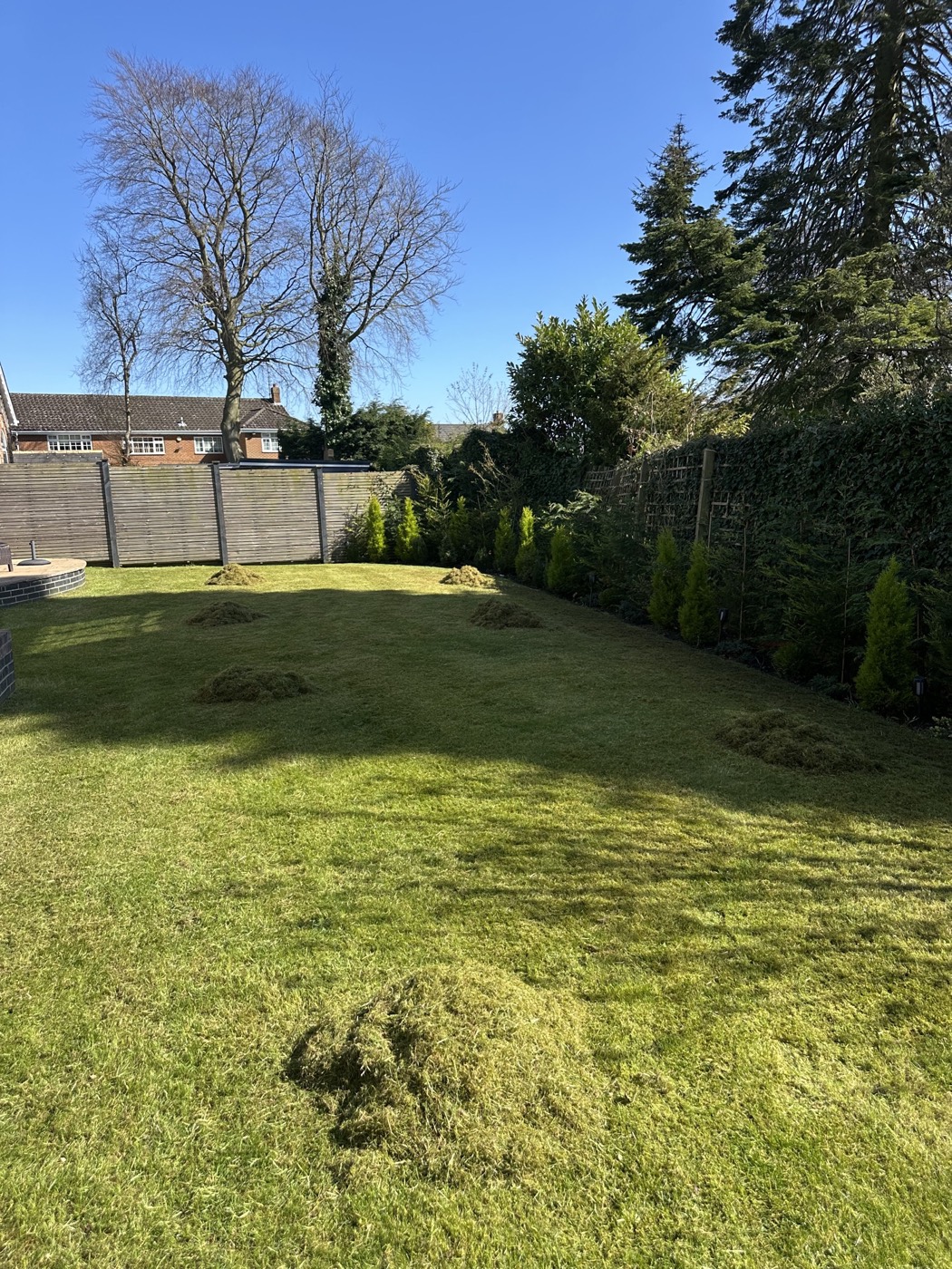 Lawn scarified with heaps of raked moss ready to be cleared