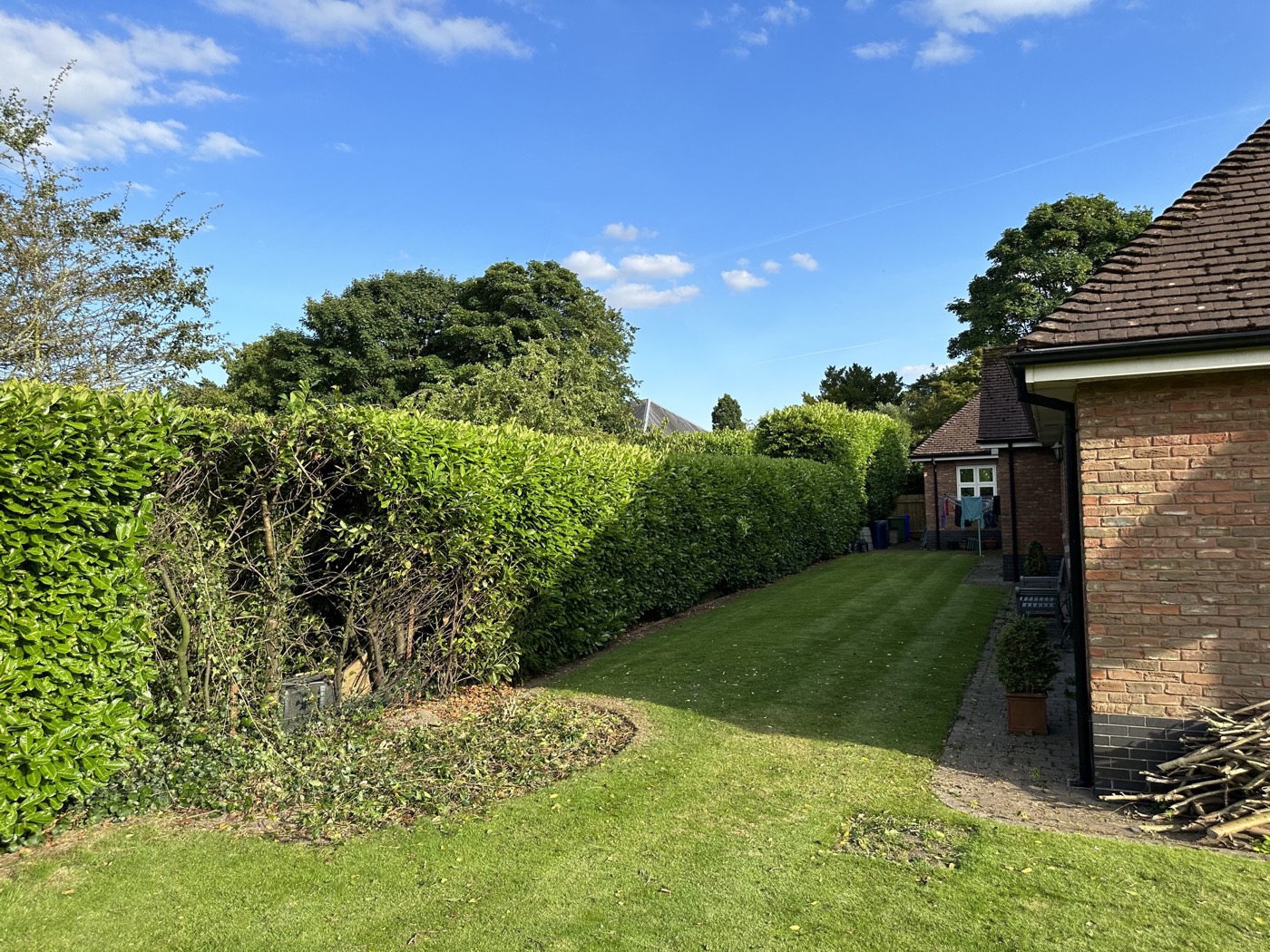 Freshly shaped laurel hedge running alongside a mown lawn