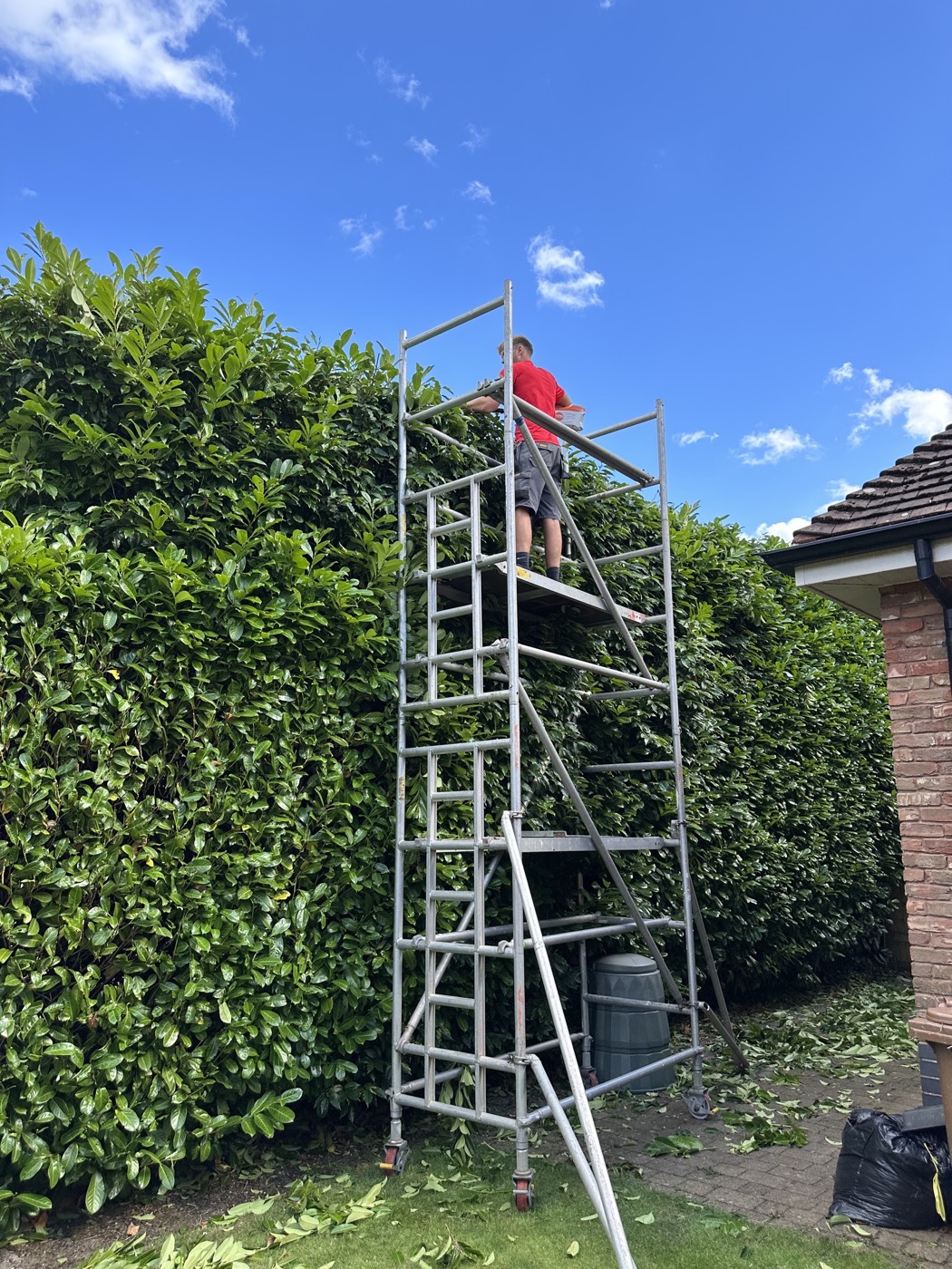 Trimming a tall laurel hedge from a mobile access tower