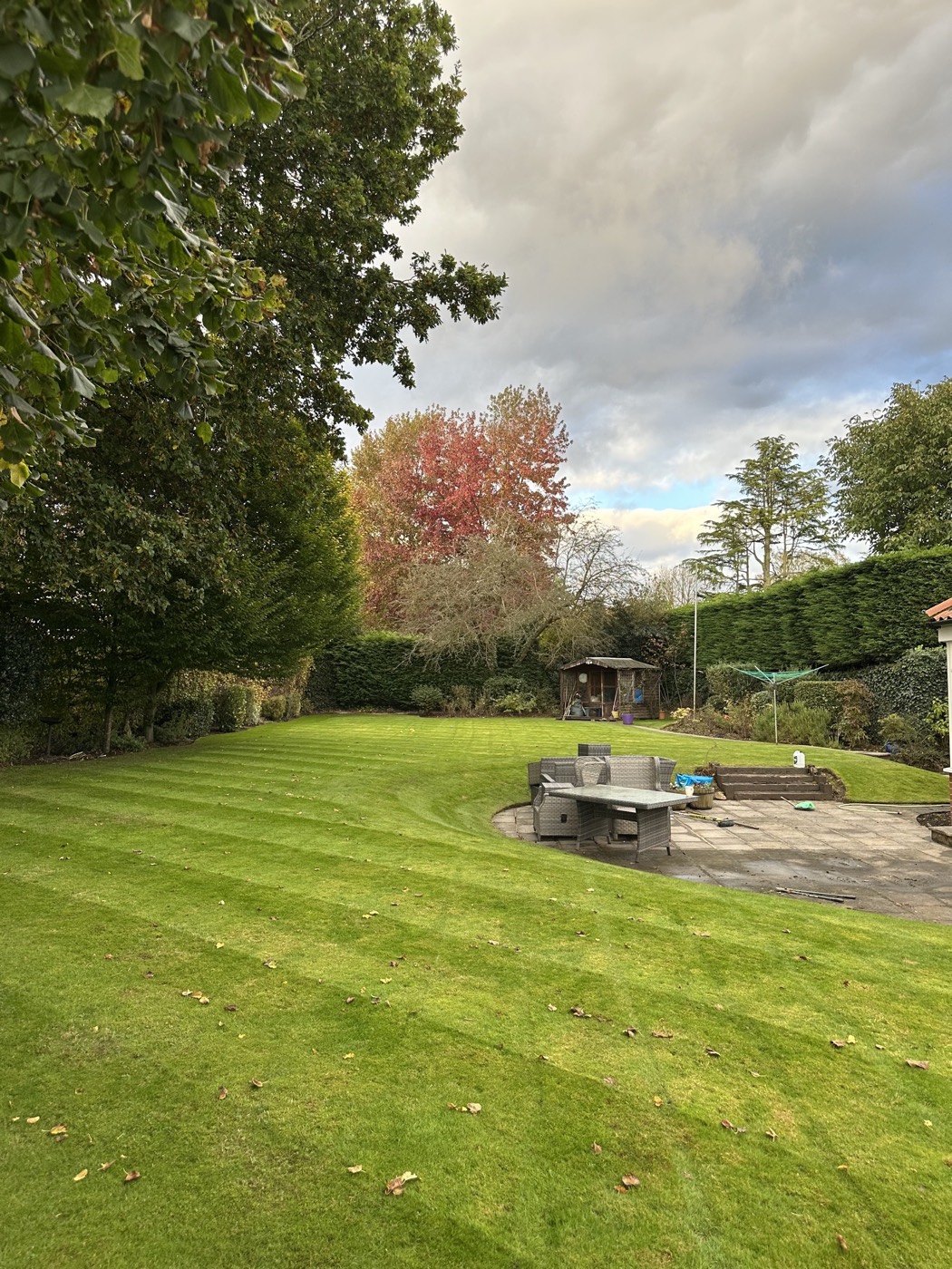 A large area of grass mown and finished around the surrounding planting