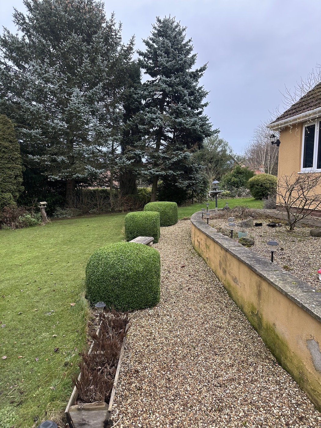Shaped box topiary and maintained shrubs beside a gravel path